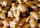 ginger_cIJhcP8DHE