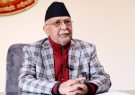 kp-oli-10