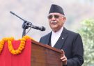 kp-oli-12