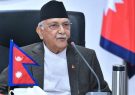 kp-oli666666