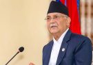 kp_oli1.