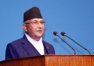 kp_oli_CysqVpNTGj