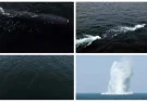 underwater-